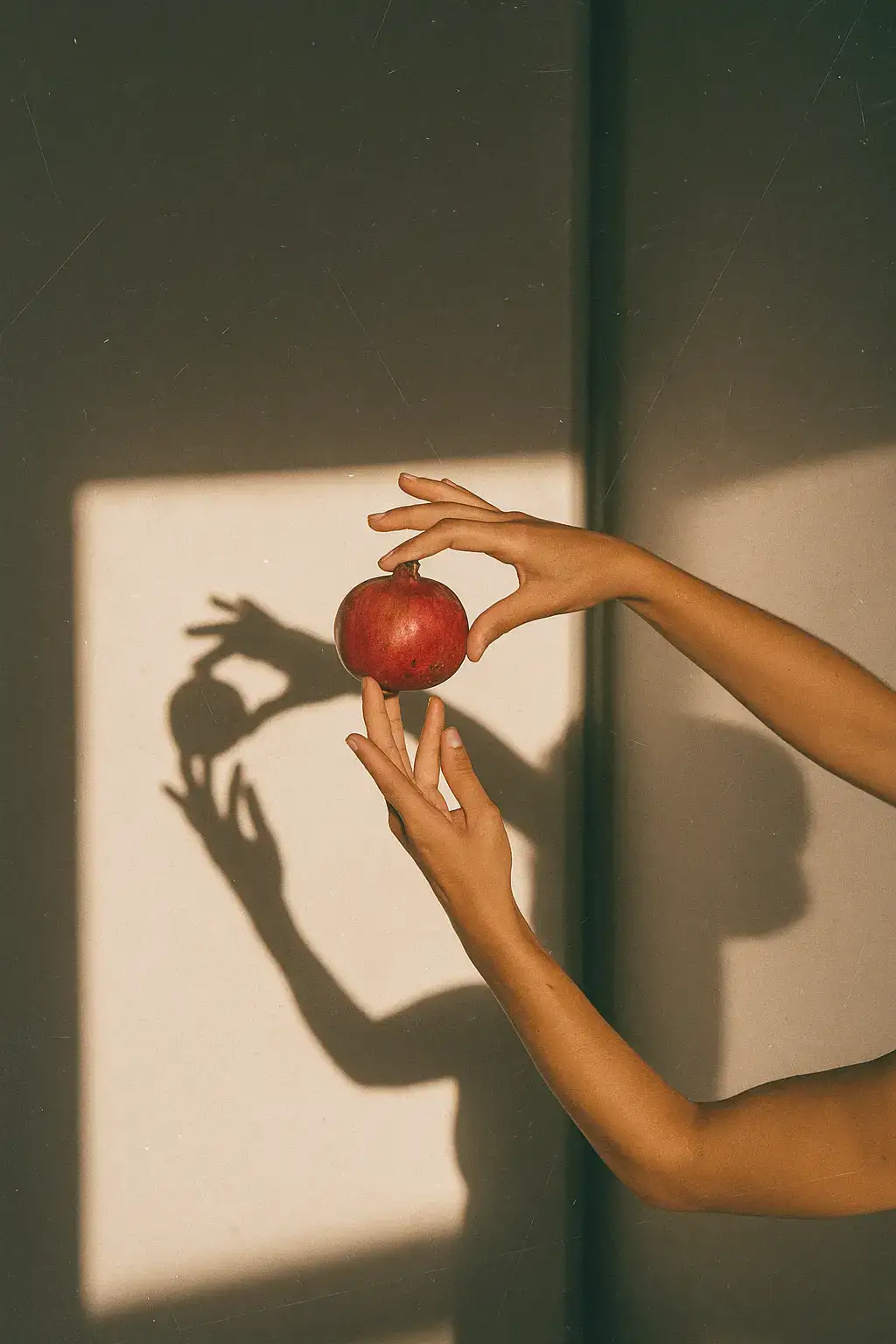 تصميم المواقع